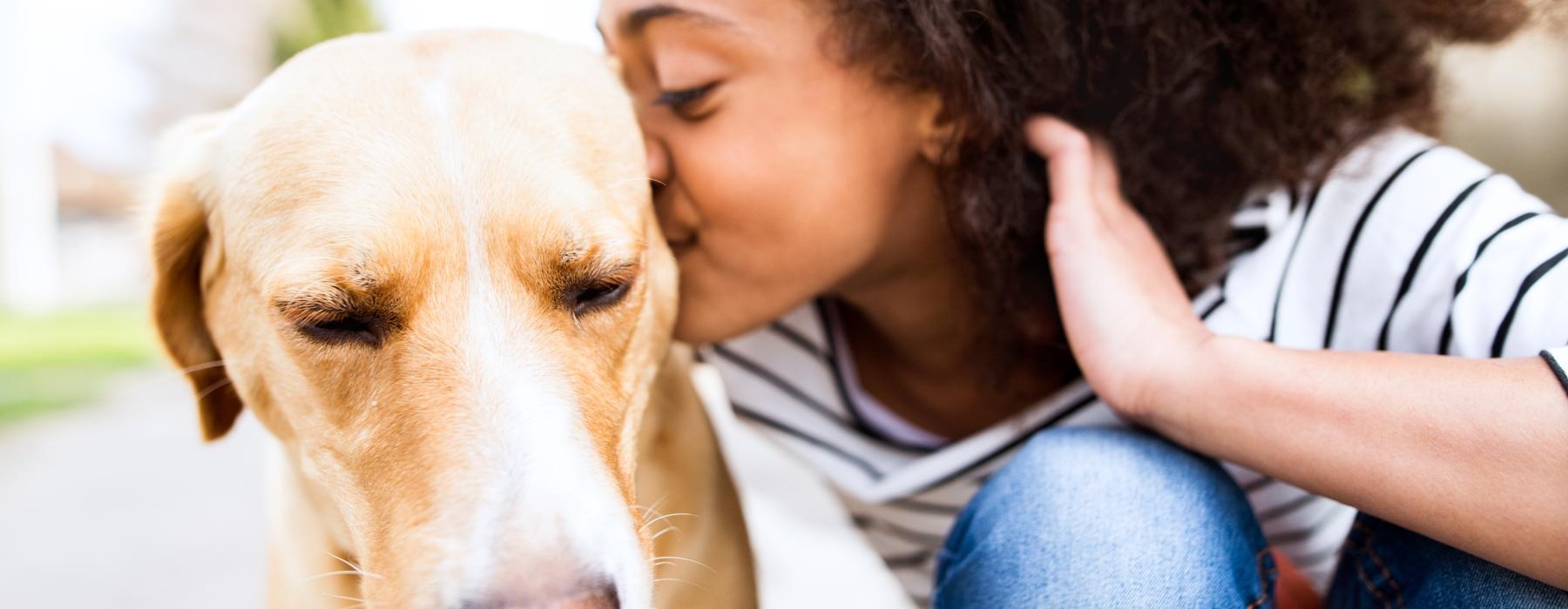 a person kissing a dog